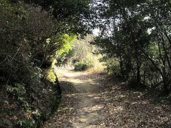 k16_44.jpg