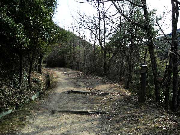 k16_46.jpg