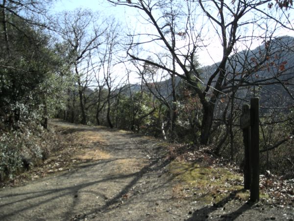k16_52.jpg
