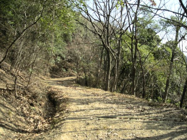 k16_53.jpg