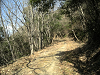 k16_56_thumb.png