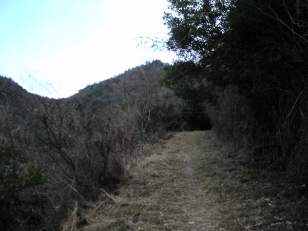 k16_60.jpg