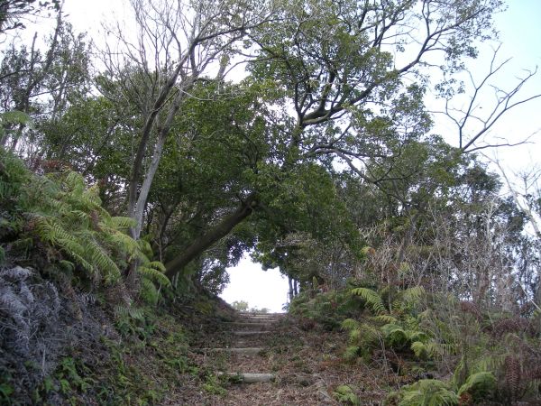 k16_65.jpg