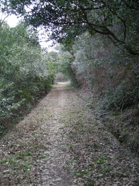 k16_70.jpg