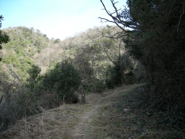 k16_72.jpg