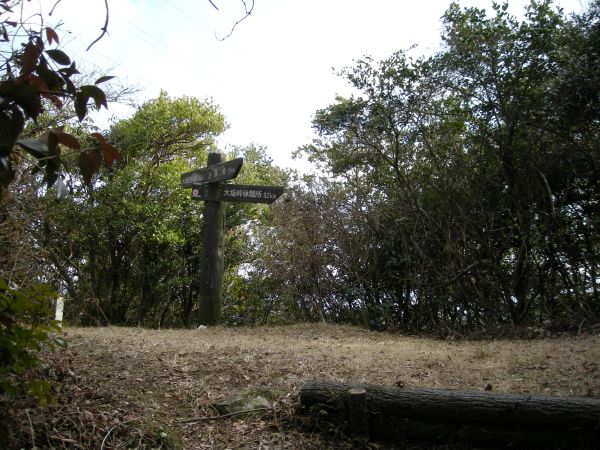 k16_81.jpg