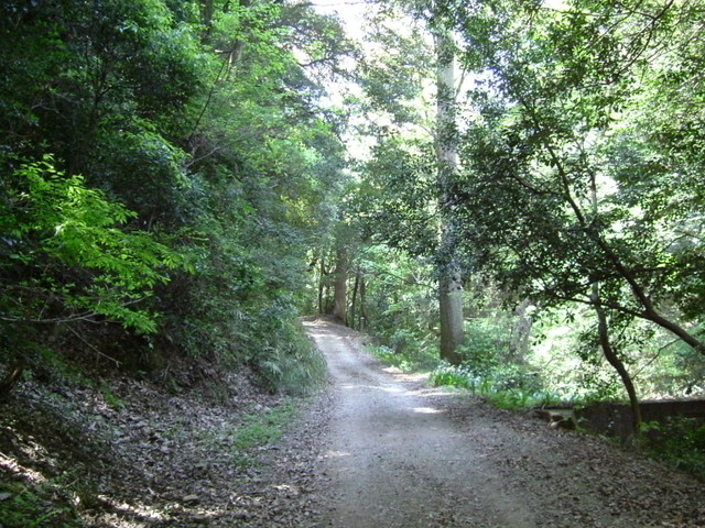 k17_10.jpg