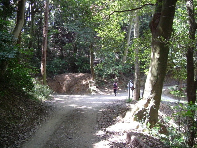k17_12.jpg