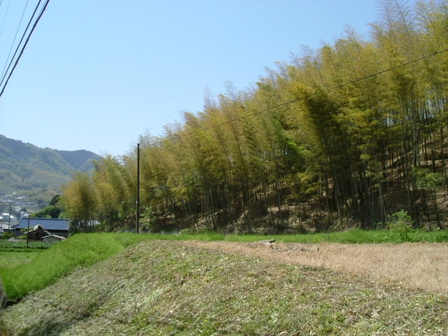 k17_21.jpg