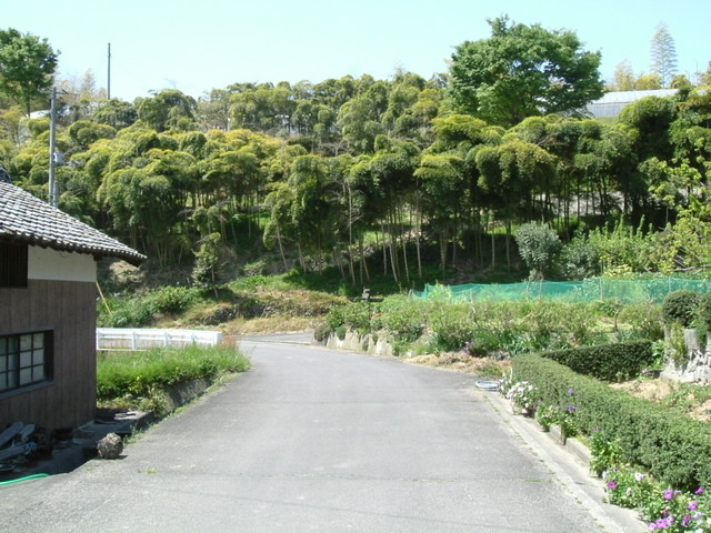 k17_22.jpg