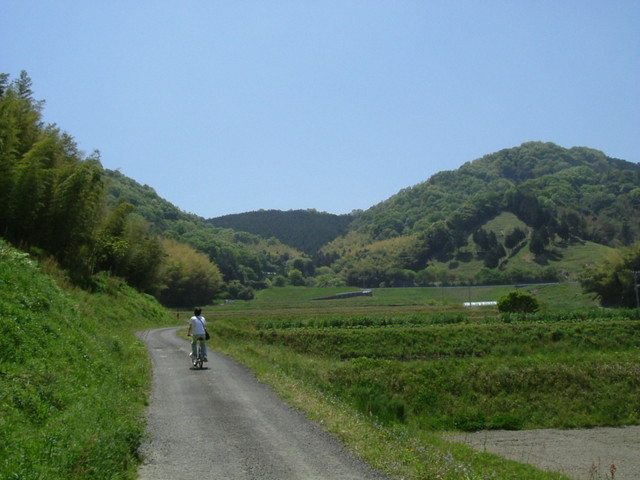 k17_38.jpg