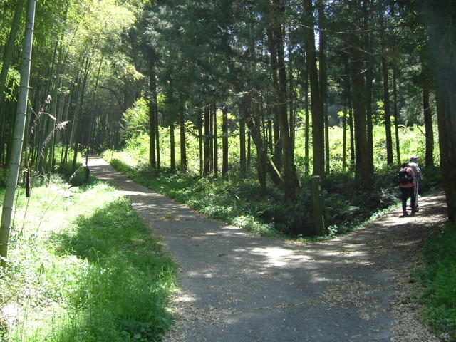 k17_40.jpg