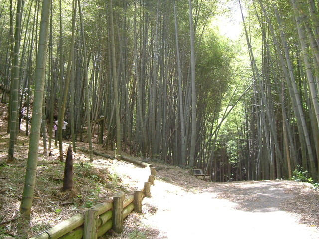 k17_41.jpg