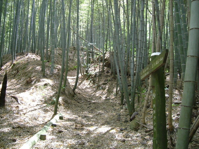 k17_43.jpg