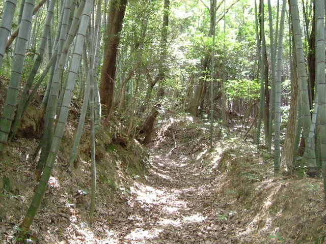k17_44.jpg