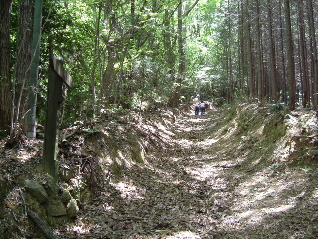 k17_45.jpg