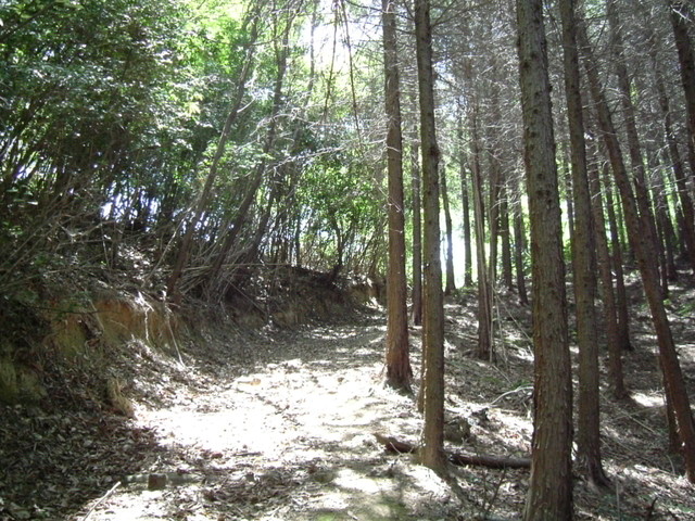 k17_46.jpg