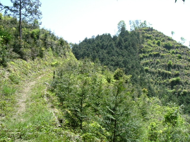 k17_48.jpg