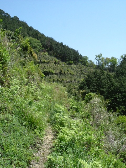 k17_49.jpg