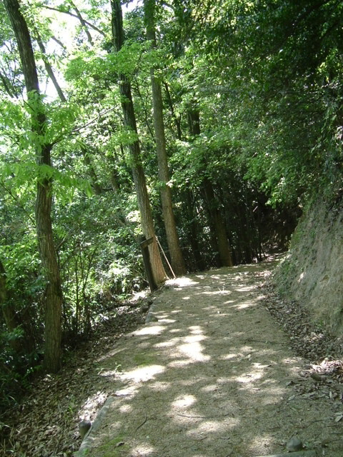 k17_53.jpg