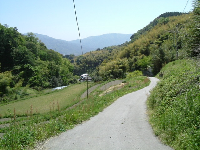 k17_57.jpg