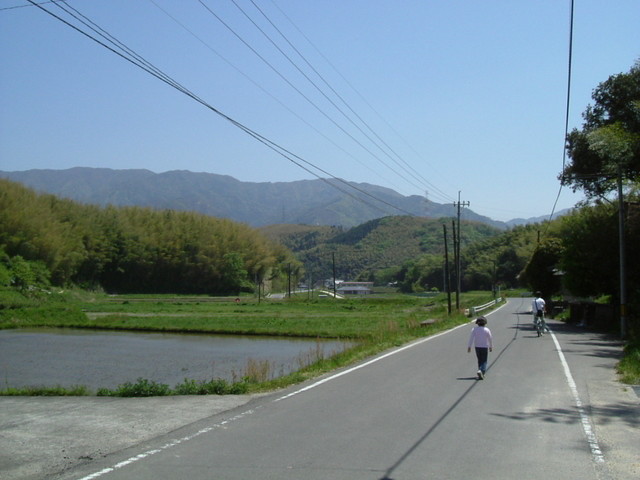 k17_61.jpg
