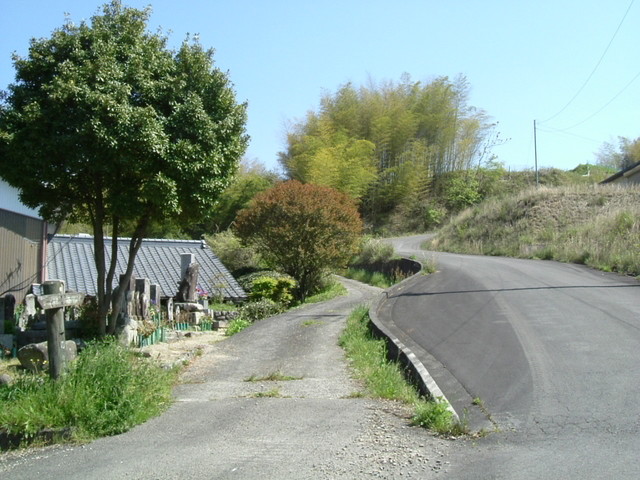 k17_67.jpg