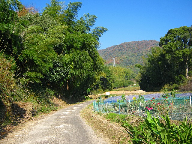 k18_009.jpg