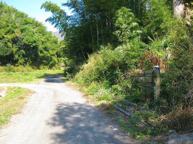 k18_010.jpg