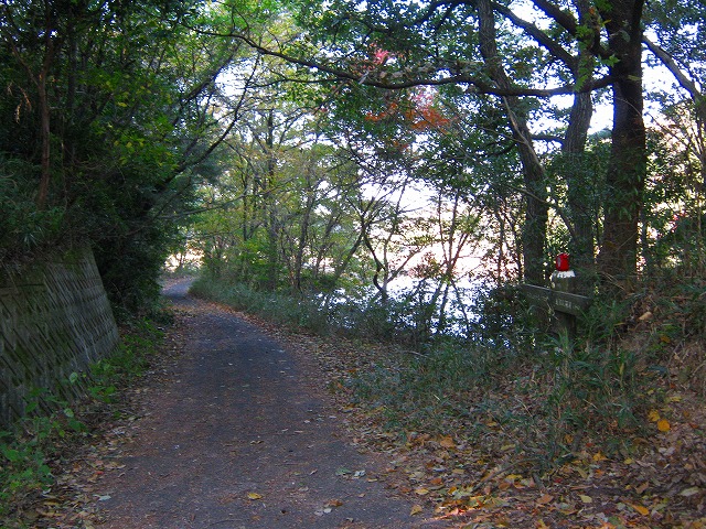 k18_012.jpg