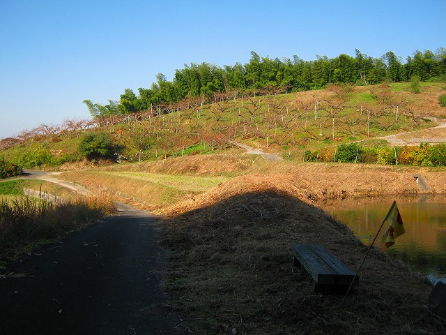 k18_013.jpg