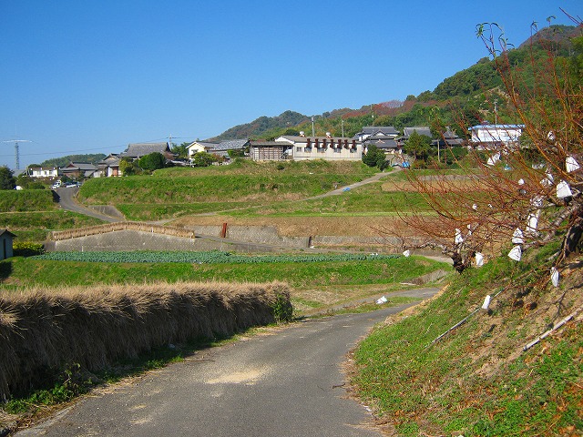 k18_014.jpg