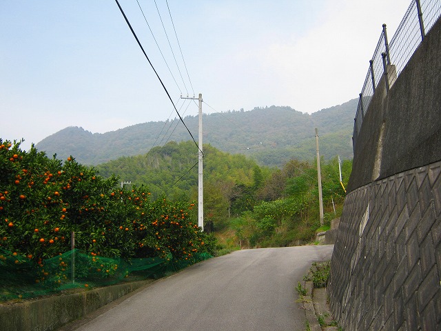k18_019.jpg
