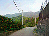k18_019_thumb.png