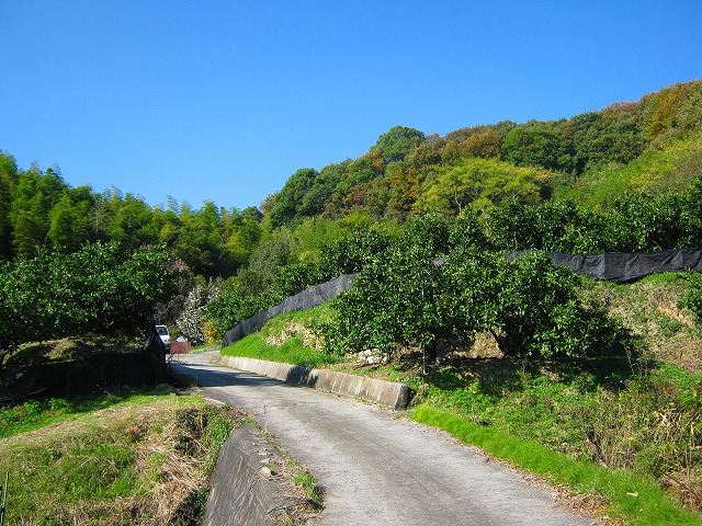 k18_028.jpg