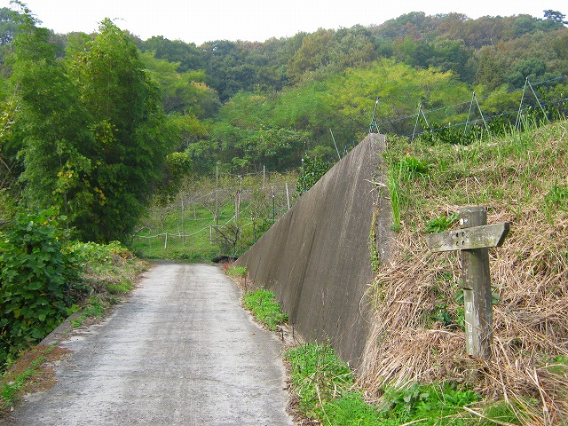 k18_029.jpg