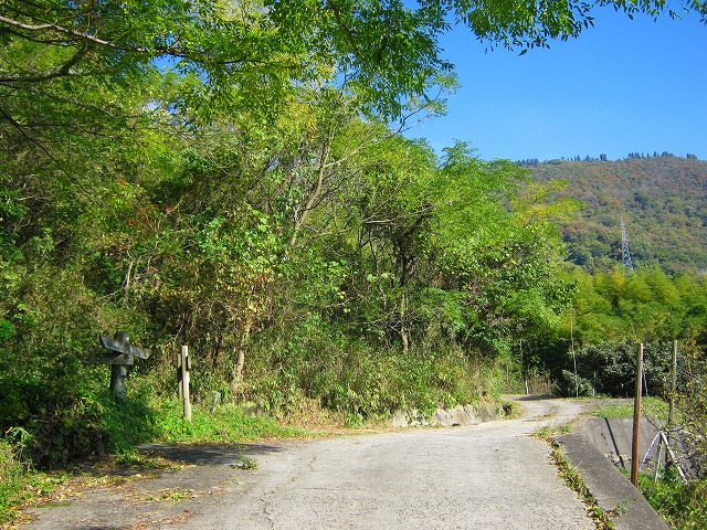 k18_031.jpg