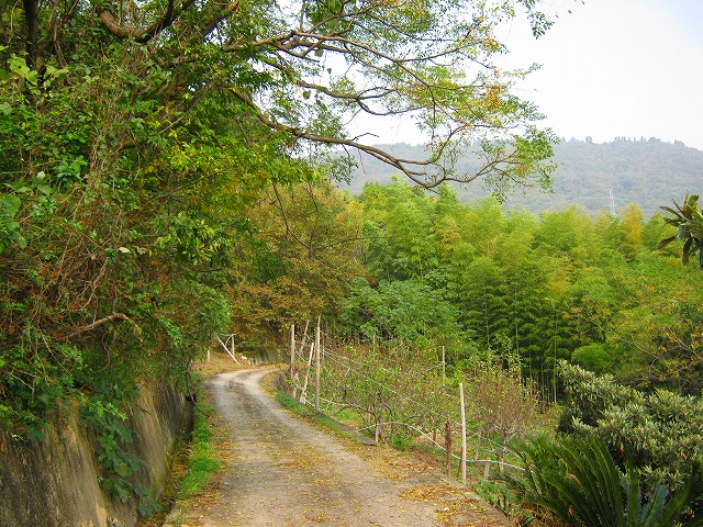 k18_032.jpg