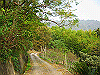 k18_032_thumb.png