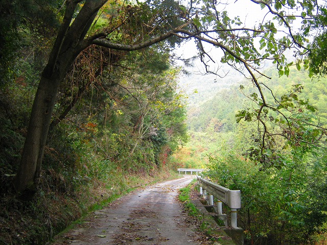 k18_033.jpg