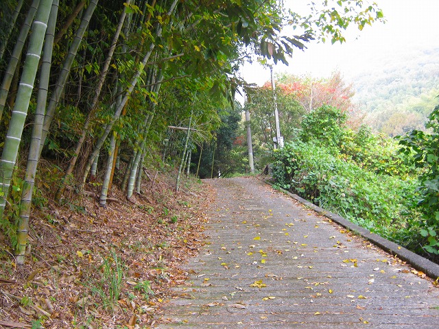 k18_036.jpg