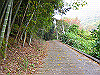 k18_036_thumb.png