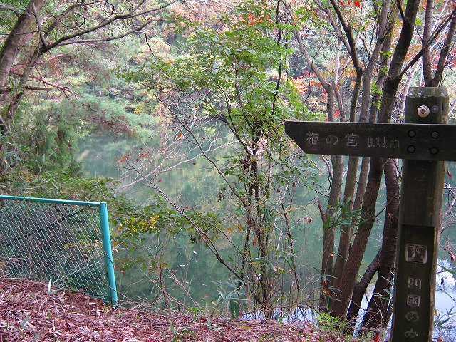 k18_037.jpg