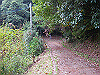 k18_046_thumb.png
