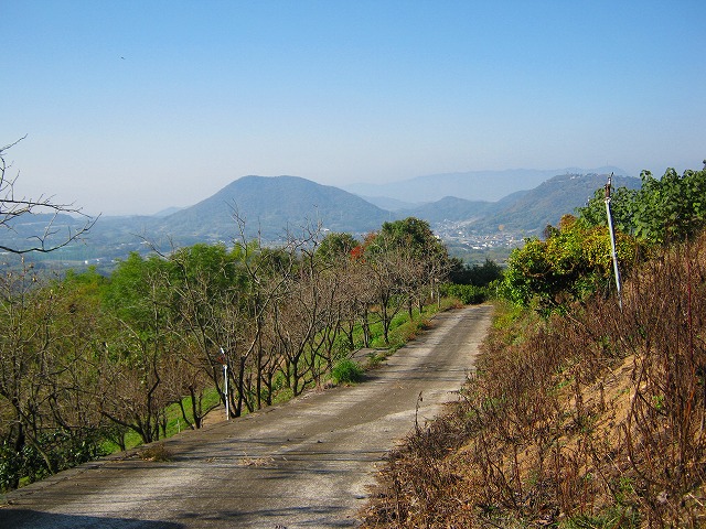 k18_048.jpg