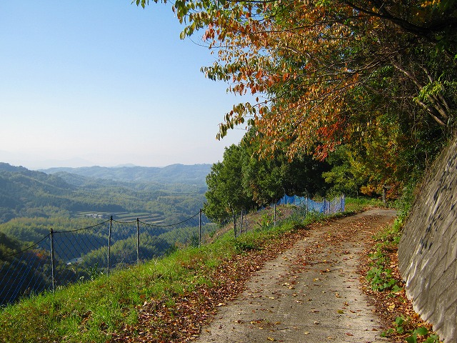 k18_050.jpg