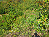 k18_053_thumb.png
