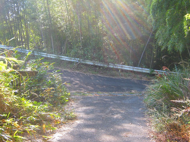 k18_056.jpg