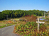 k18_058_thumb.png