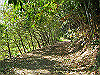 k18_063_thumb.png